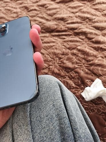 eurolux ət cəkən: IPhone 12 Pro, 256 GB, Graphite, Simsiz şarj, Face ID — 1