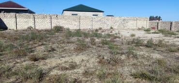 ferma icarəyə verilir: 6 sot, Tikinti, Bələdiyyə — 5