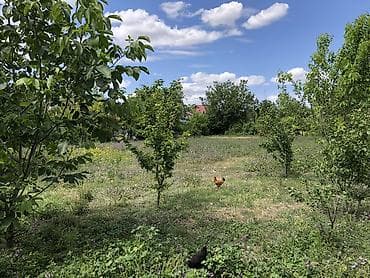 сад: 10 соток, Для строительства, Собственник, Купчая — 9