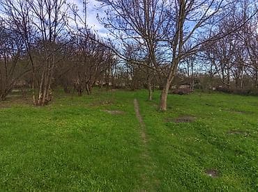 astara torpaq: 16 sot, Tikinti, Mülkiyyətçi, Kupça (Çıxarış) — 4