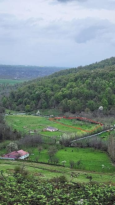 topaq: 5 sot, Tikinti, Mülkiyyətçi — 3