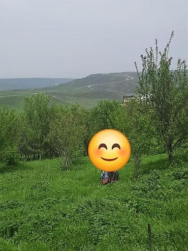 Dağ mənzərəsi və meyvə bağları ilə kənd evi Real alıcıya endirim