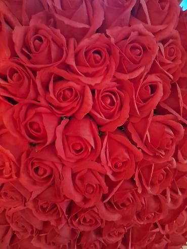 suni dəri: Qizil Gul satilir Sam qizil Gulu Cidi sexslere Endirimde ederem — 2