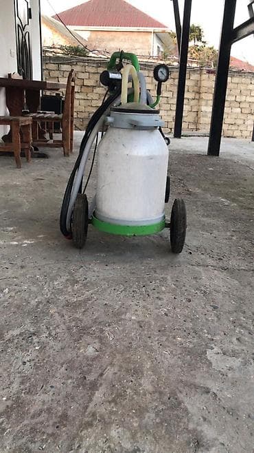 Hazır biznes: Tək bidon — 3