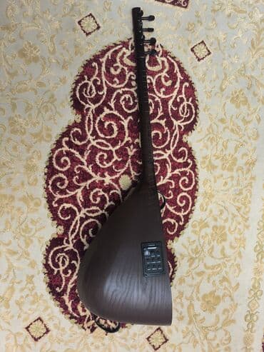 7 ci sinif kimya iş dəftəri pdf: Elektro saz (korpusda quraşdırılmış preamp ilə) - Alətlə — 1