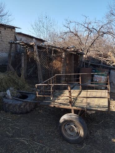 toyuq cuce satisi: Satlir top kimi yungul harava 150 m cuzi endirim olcaq — 1