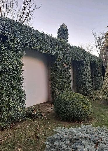 Tulumlar: Bağbanam kime bağban lazımdırsa buyura biler — 7