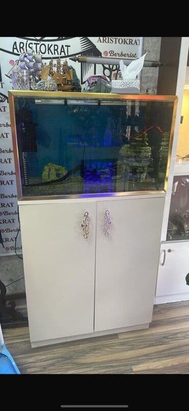 kompresor akvarium: Akvaryum dəsti – şkaflı - Şüşə akvaryum, qızılı rəng çərçivə ilə - — 1