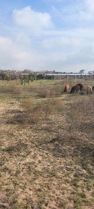 koroğlu: 24 sot, Tikinti — 9