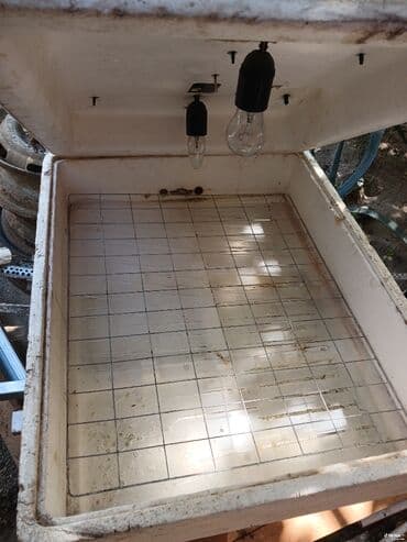 Yağ çəkən aparatlar: Bütün növ quşlaq üçün — 2