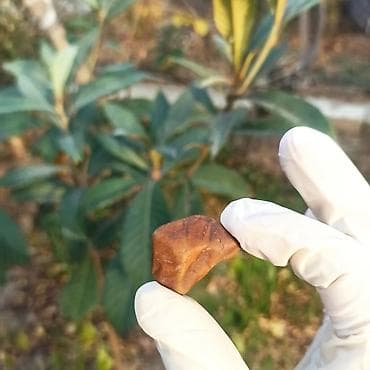 sitrin daşı: Təbii Jasper daşı Satılır 💎 - Material: təbii jasper (yarıqiymətli — 7