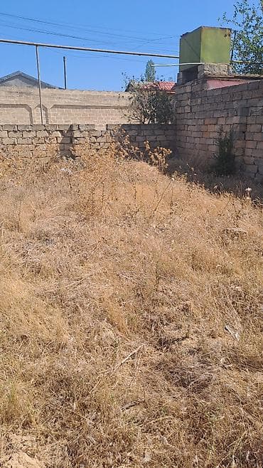 obyek satışı: 125 sot, Tikinti, Makler, Bələdiyyə — 1