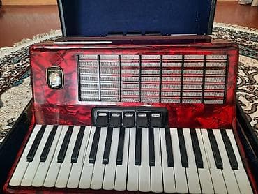 ucuz idman qidalari: Akkordeon, İşlənmiş, Rayonlara çatdırılma — 6