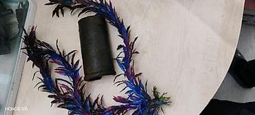 baliqlar: Akvaryum dəsti – tam komplekt Tərkib: - Şüşə akvaryum (üst qapaqla — 3