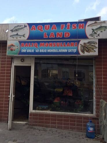 mingəcevirdə icarə obyektlər: Yasamal rayonu 25 kv.m sahəsi olan, obyekt(meyvə tərəvəz,balıq — 1