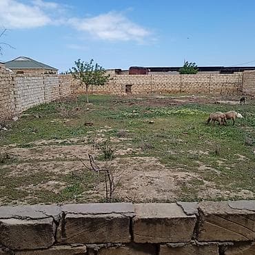 участок с времянкой: Для строительства, Купчая — 8