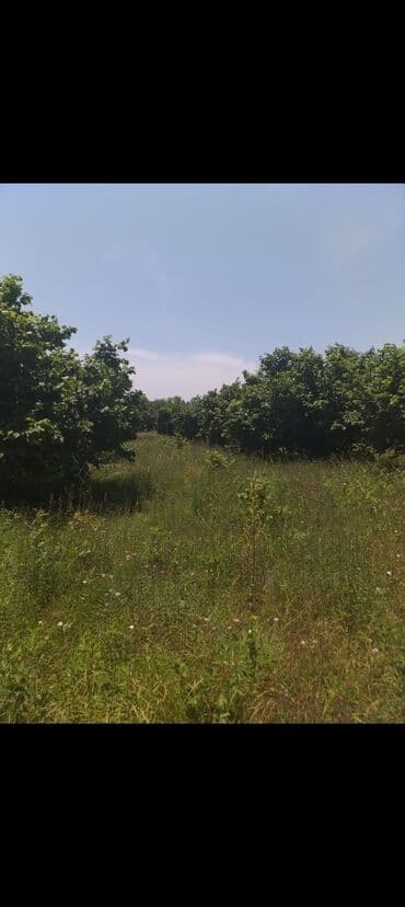 xoşbulaqda ev satılır: 5 комнат, 10000 м² — 6
