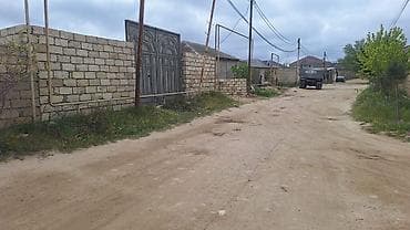 Tikinti