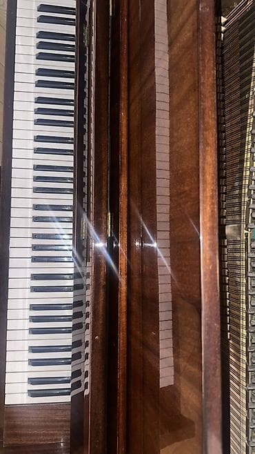 Musiqi alətləri: Piano, Akustik — 6