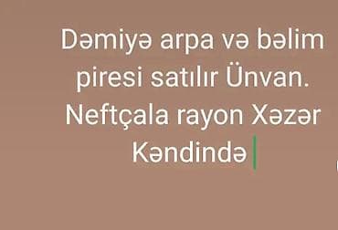 cins ineklerin satisi 2019: Məhsul: Dəmyə arpa və bələm piresi (yabanı ot piresi/biomass) Təsvir — 1