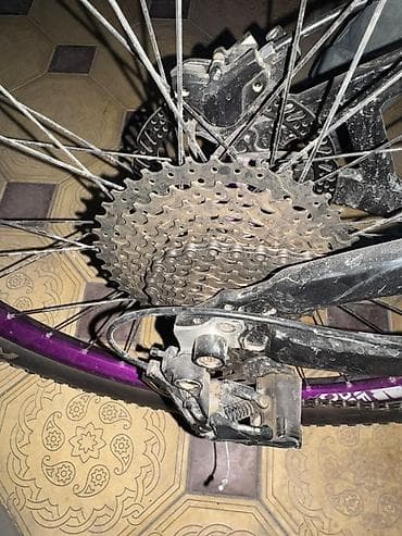 volosibet: Mt200 ler verilmir trektro cut vereciyik onun yerine polnu yağ — 1