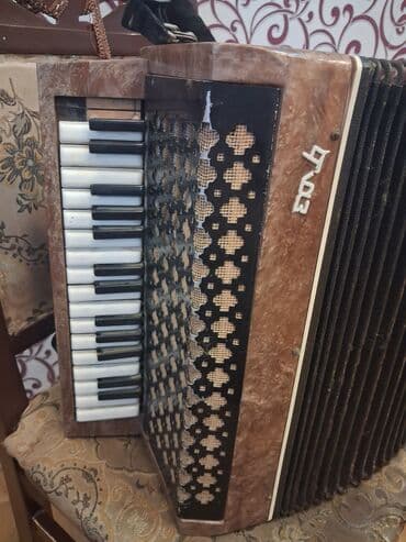 akkardion: Akustik Akkordeon — 1