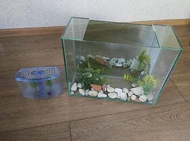 Akvarium Diqqət Arxa Şüşəsi Güzgüdür balıq az olsa çox göstərir +