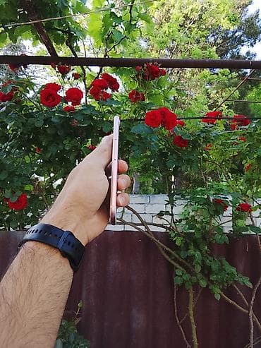 i̇phone 13 mini: IPhone 7, 32 GB, Rose Gold, Barmaq izi — 4
