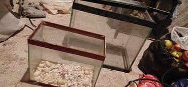 Lincoln: Akvaryum dəsti - Şəkillərdə 2 ədəd şüşə akvaryum: biri böyük, biri — 2