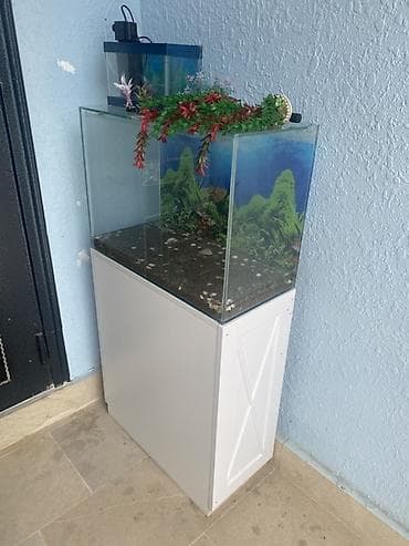 afcarka balasi erkey: Akvarium-şkaf, Boş, 90 l, Ünvandan götürmə — 1