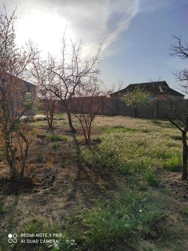 20 ci sahe kiraye evler 2024: 4 otaqlı, 95 kv. m, Orta təmir — 17