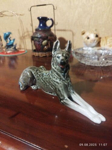 ən gözəl it şəkilləri: Fiqur, rəng - Boz — 1