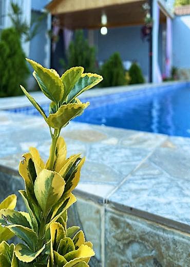 keşlede heyet evleri: Qesresdedı Her bır şey var evde manqal samavar 4 Otaq 8 nefer qala — 10