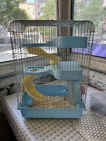 sicovul: Hamster və balaca gəmiricilər üçün qəfəs - Rəng: açıq mavi plastik — 1
