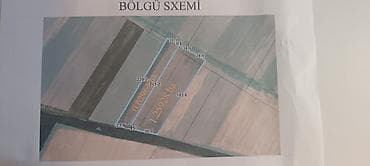 Kənd təsərrüfatı, Kupça (Çıxarış)