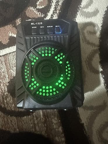 duyu aparati: ML-1325 portativ akustik kolonka - İşıqlı dinamik: Ön paneldə rəng — 2