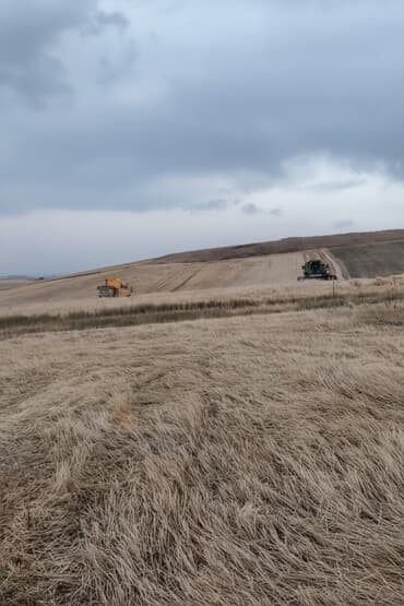 mida sumqayit qiymetleri: Kənd təsərrüfatı, Müqavilə — 2