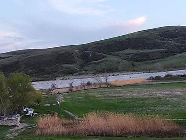 kiraye menzil gence: Kənd təsərrüfatı, Kupça (Çıxarış), Müqavilə — 3