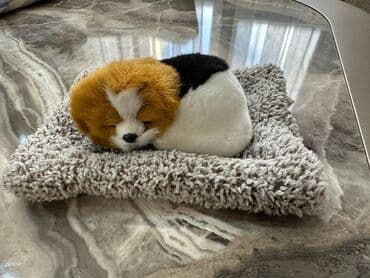 сколько стоит поп ит в азербайджане: Yenidir. Oz qiymeti 15 azndir.Qiymet 1 denesine aiddir — 3