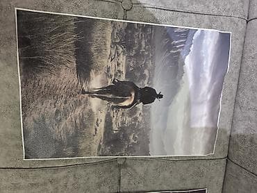 ev dekoru: Tony Ferguson və Red Dead Redemption 2 posterları. RDR2 - 20 manat — 3