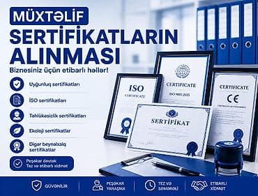 birə: Mühasibat uçotu | Mühasibat uçotunun aparılması — 7