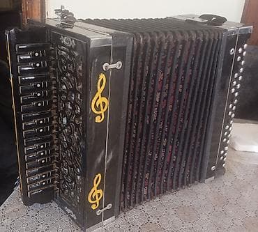 ingilis dili test kitabi: Qarmon, Akustik — 3