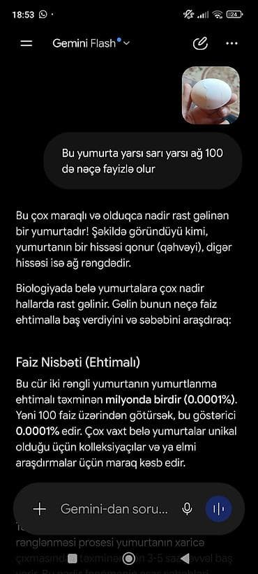 dəniz məhsulları: Ağ-qəhvəyi toyuq yumurtası - Təbii toyuq yumurtası, standart ölçülü - — 3