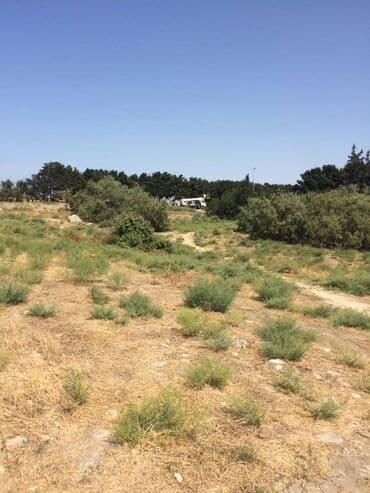 binə qəsəbəsi: 45 sot, Tikinti, Makler, Kupça (Çıxarış) — 4