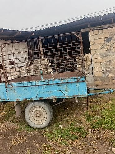 lapet təkəri: İki oxlu kənd təsərrüfatı qoşqusu - Universal yük daşıma üçün qoşqu; — 1
