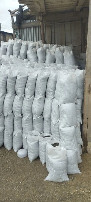 купить кирпич в баку: Kərpic(19×19×29)- 0.48 azn kərpic(10×19×19)- 0.26 azn kərpic(8×19×19)- — 8