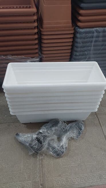 dipçək satışı: Dipçekler gül qabilar 30 sm 50 sm 70 sm 75 sm 85 sm 90 sm olculer var — 26