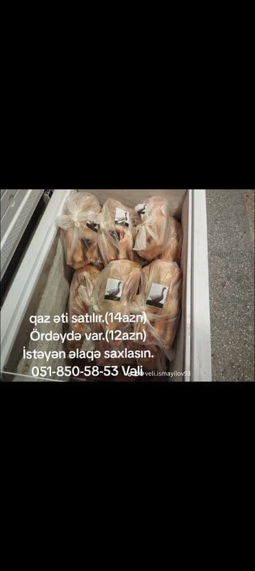 betta balığı satış: Tam sağlam ördək və qazların halal kəsimli satışı. Buyurun yararlanın — 1