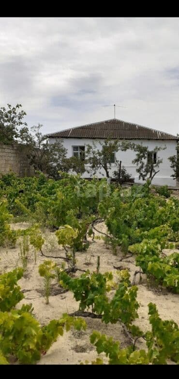 Saray, 90 kv. m, 3 otaqlı, İnternet, Artezian quyusu, Telefon lalafo.az -da Saray, 90 kv. m, 3 otaqlı, İnternet, Artezian quyusu, Telefon