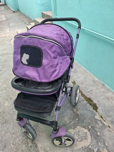 İşlənmiş, Yaş: 30 ay